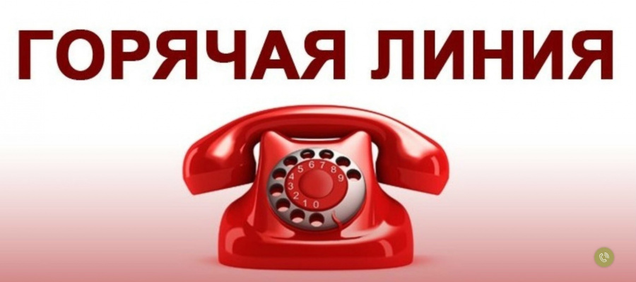 13 августа  2025 года филиал ППК _Роскадастр_ по Тульской области проведет телефонную _горячую линию_ для заявителей (6)