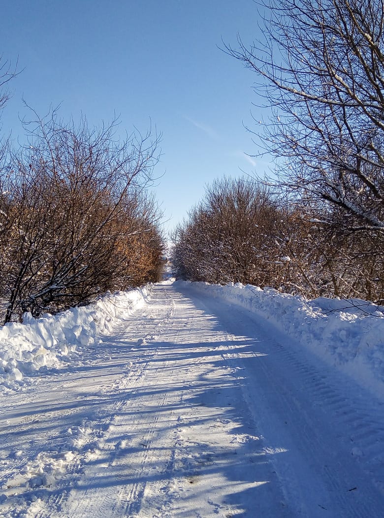 08/02/2019 содержание дорог в н/п: Вишневая и Чебыши Кимовского района