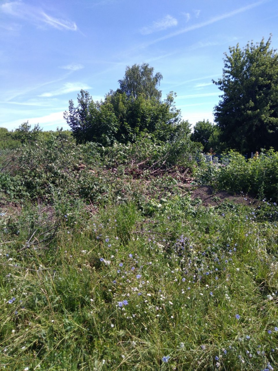  Проведена опиловка деревьев с западной стороны кладбища в п. Епифань