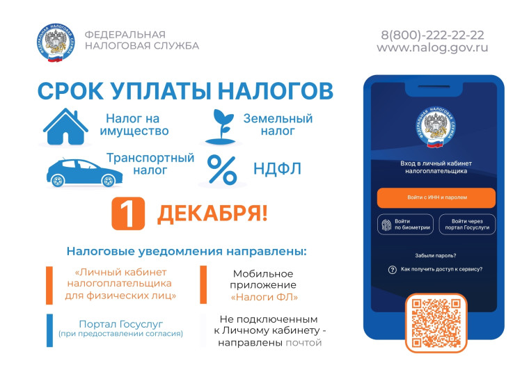 Срок уплаты налогов -  до 1 декабря!