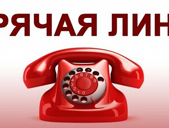 19 июня 2024 года филиал ППК «Роскадастр» по Тульской области проведет телефонную «горячую линию» для заявителей 19 июня  2024 года с 10.00 до 12.00 состоится «горячая линия» для заявителей по вопросу оказания выездных услуг и курьерской доставки документ